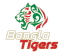 Bangla Tigers Flag