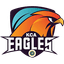 KCA Eagles Flag