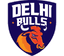 Delhi Bulls Flag