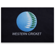 Team logo